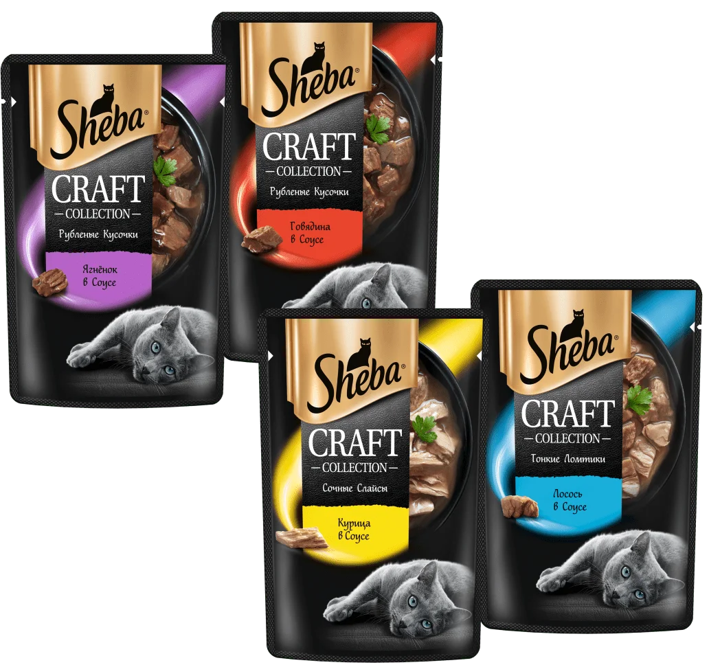 Sheba 2025 craft collection