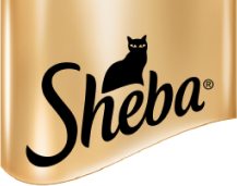 www.sheba.ru