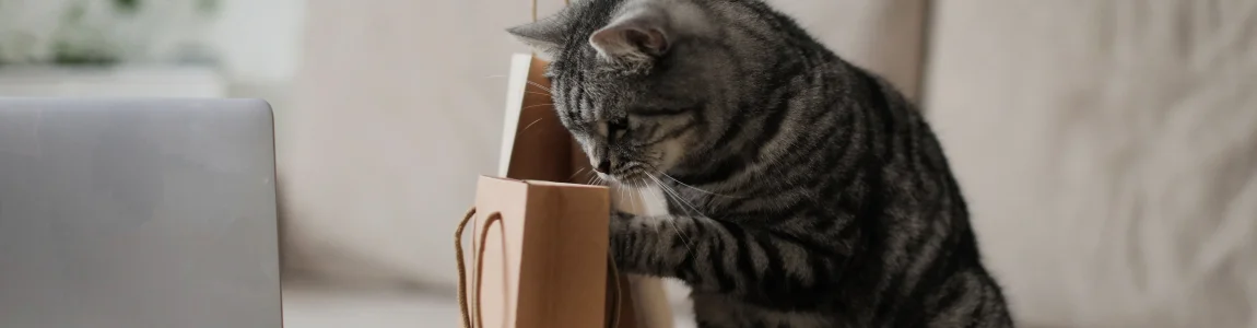 При выборе подарка учитывайте предпочтения кошки